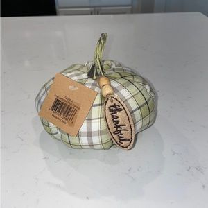 NWT Small Thankful Pumpkin